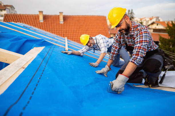Best Storm Damage Roof Repair  in Meadowood, PA